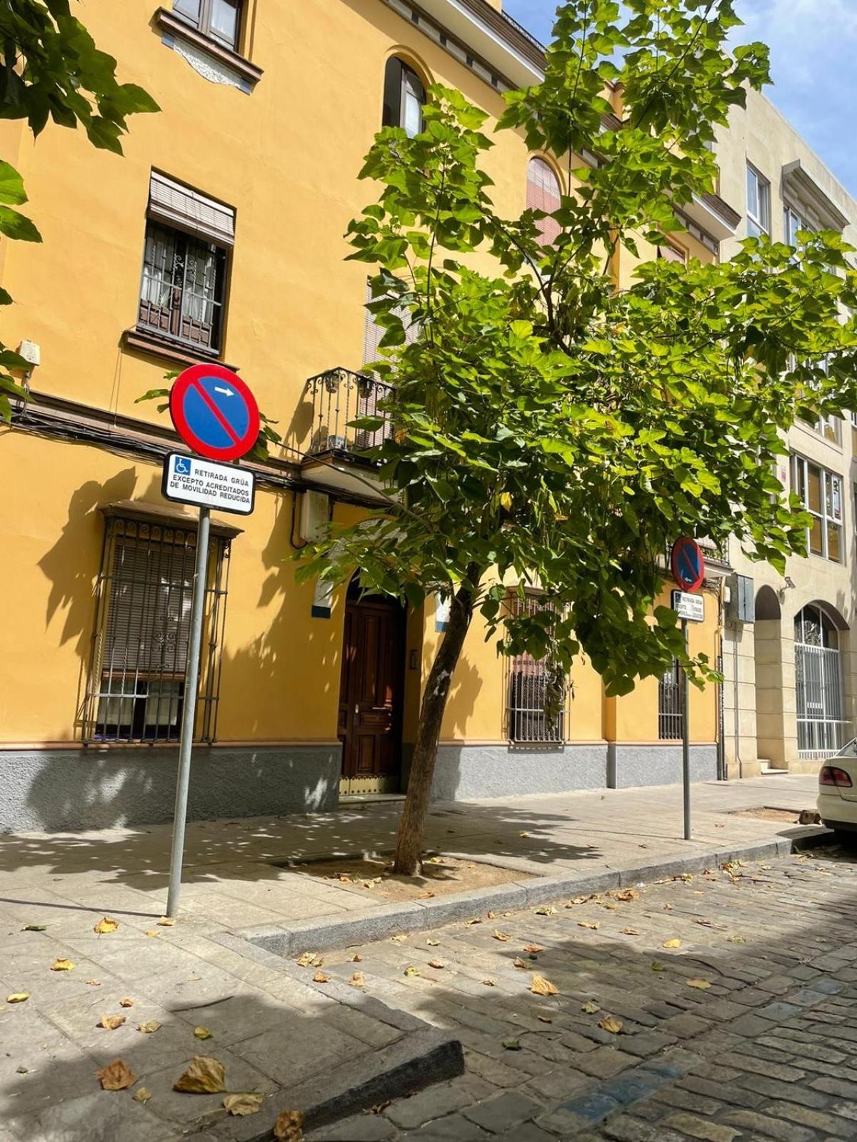 Apartamento Entero En Los Jardines De Murillo Sevilla Eksteriør bilde